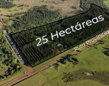 25 Hectáreas en Concepcion de la Sierra