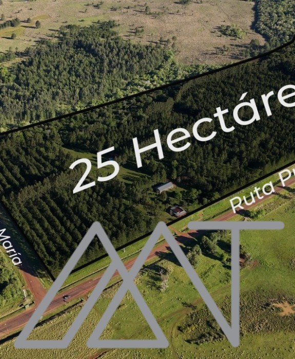 25 Hectáreas en Concepcion de la Sierra