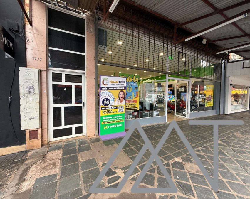 Departamento en Microcentro